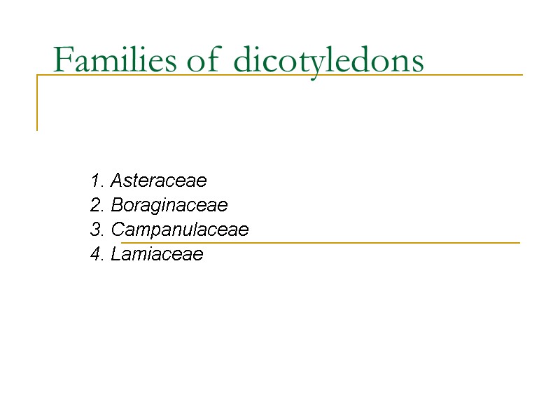 Families of dicotyledons 1. Asteraceae 2. Boraginaceae 3. Campanulaceae 4. Lamiaceae